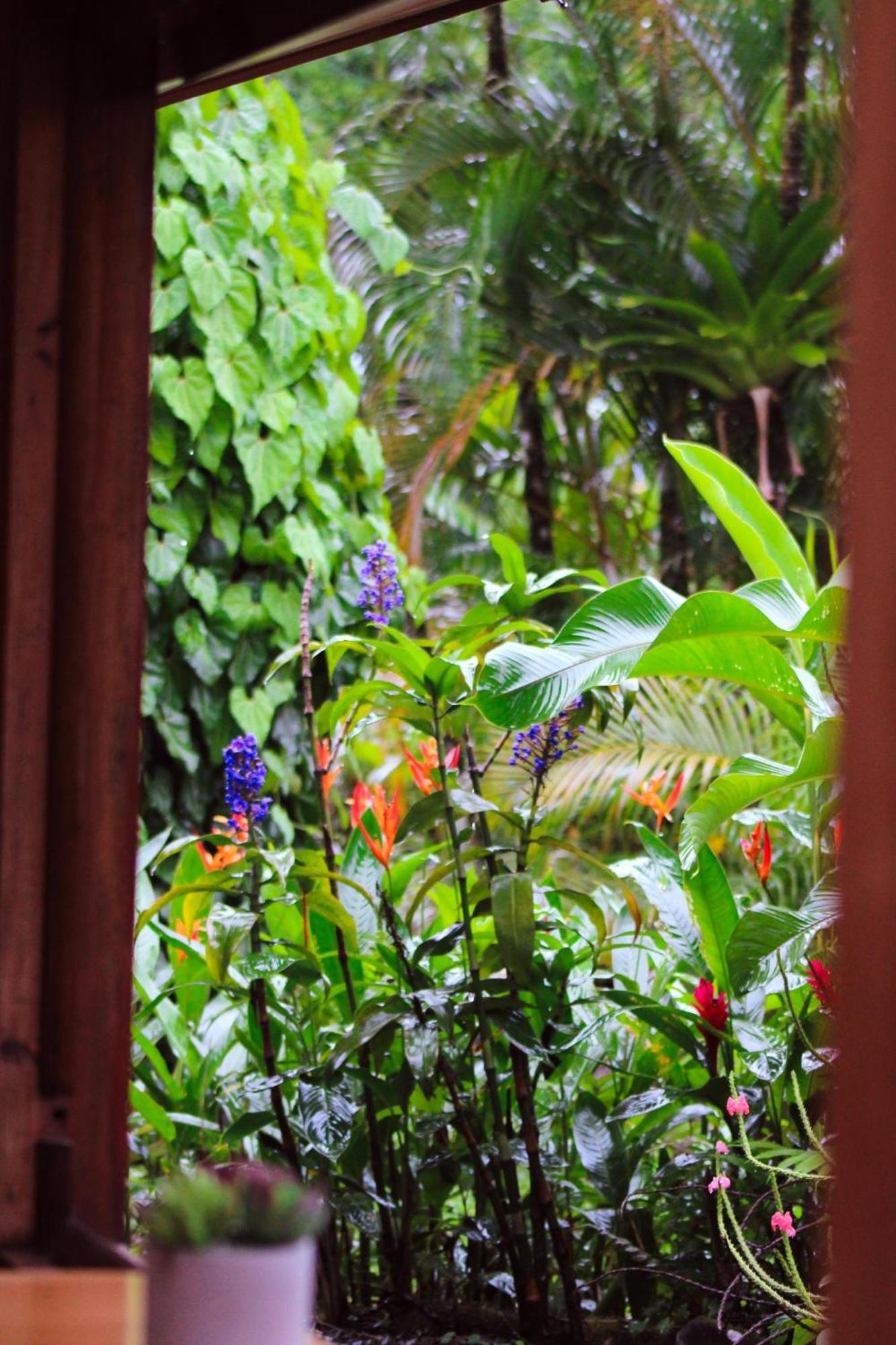 Sueno Rio Celeste Boutique B&B Bijagua Exterior foto